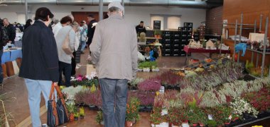 Herbst-Landmarkt Menschen an einem Blumen-Verkaufsstand drinnen
