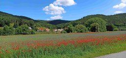 Orla-Radwanderweg Feld mit Mohnblumen und Blick auf kleines Dorf