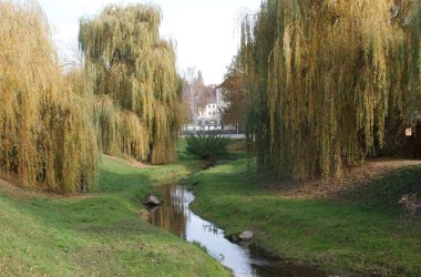 kleiner Fluss umgeben von Wiese und Weiden
